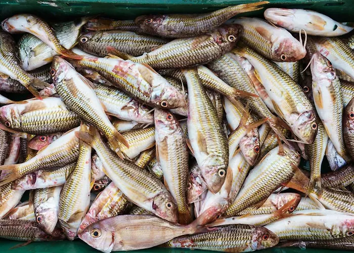 Olympus-haus By Interhome * Specchiolla